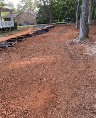 The same yard after grinding — stumps gone, ground raked flat
