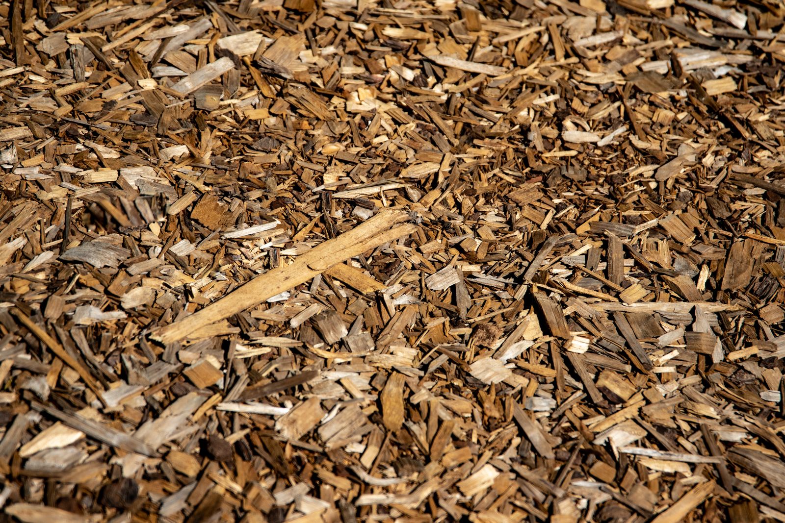 Fresh wood chips and mulch left from grinding a stump
